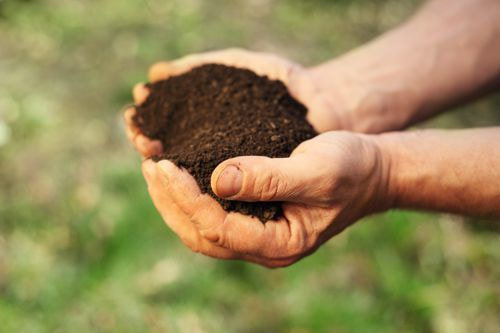 a pair of hands, holding soil
